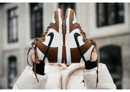 Nike Dunk High