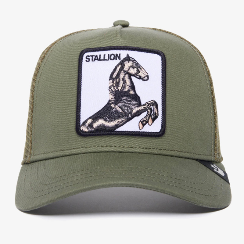 GOORIN BROS The Stallion 