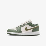 NIKE AIR JORDAN 1 LOW BG 