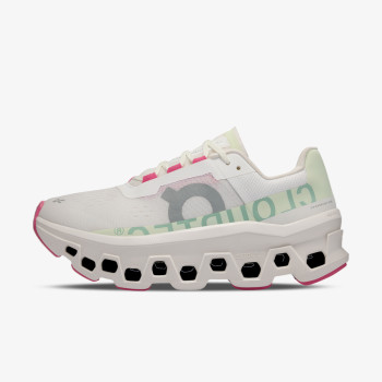 On Cloudmonster 