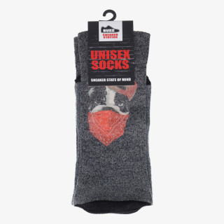 BUZZ BULLDOG SOCKS 