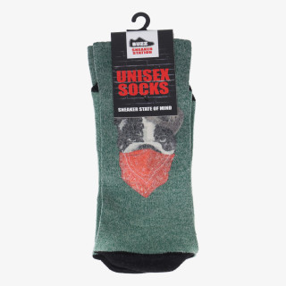 BUZZ BULLDOG SOCKS 
