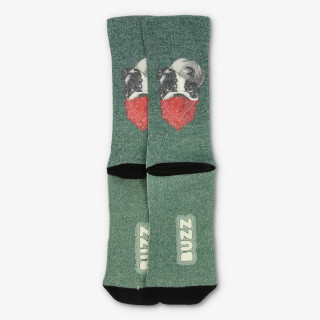 BUZZ BULLDOG SOCKS 