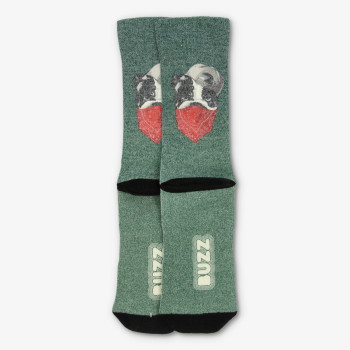 BUZZ BULLDOG SOCKS 