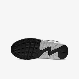 NIKE NIKE AIR MAX 90 LTR GS 