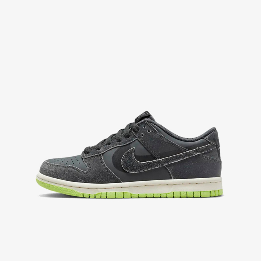 NIKE NIKE DUNK LOW SE BG 