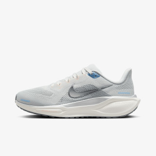 NIKE Air Zoom Pegasus 41 