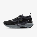 NIKE Pegasus Trail 5 Gtx 