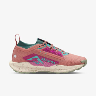 NIKE Pegasus Trail 5 Gtx 