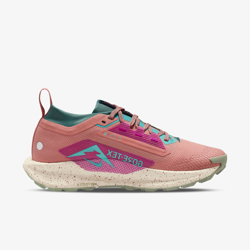NIKE Pegasus Trail 5 Gtx 