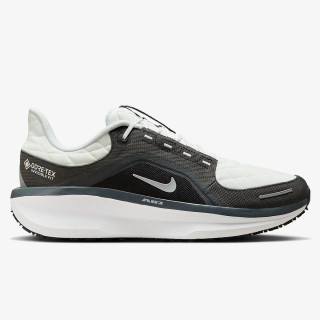 NIKE AIR WINFLO 11 GTX 