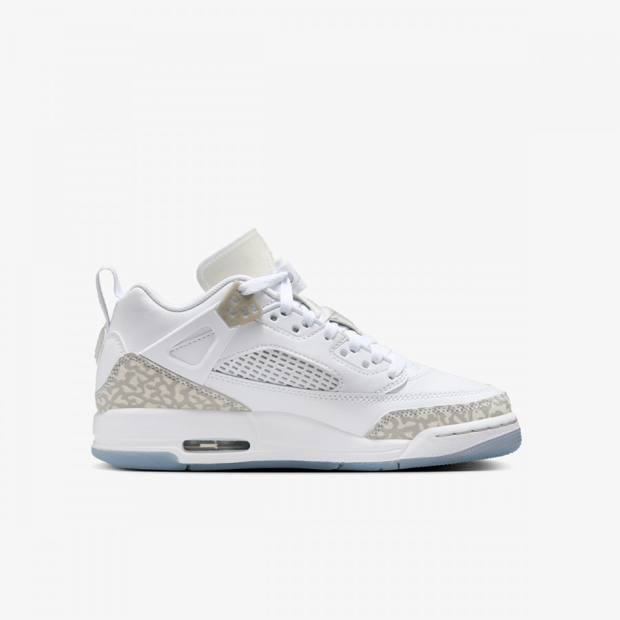 NIKE Jordan Spizike Low 