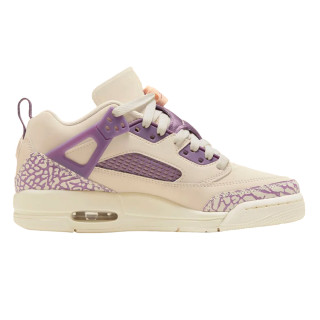 NIKE Jordan Spizike Low 