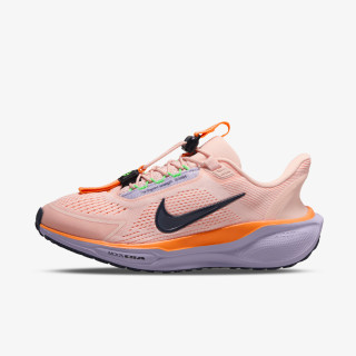 NIKE Pegasus Easyon 