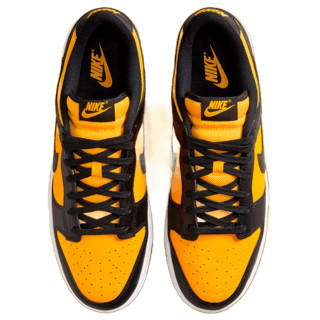 NIKE NIKE DUNK LOW FS 