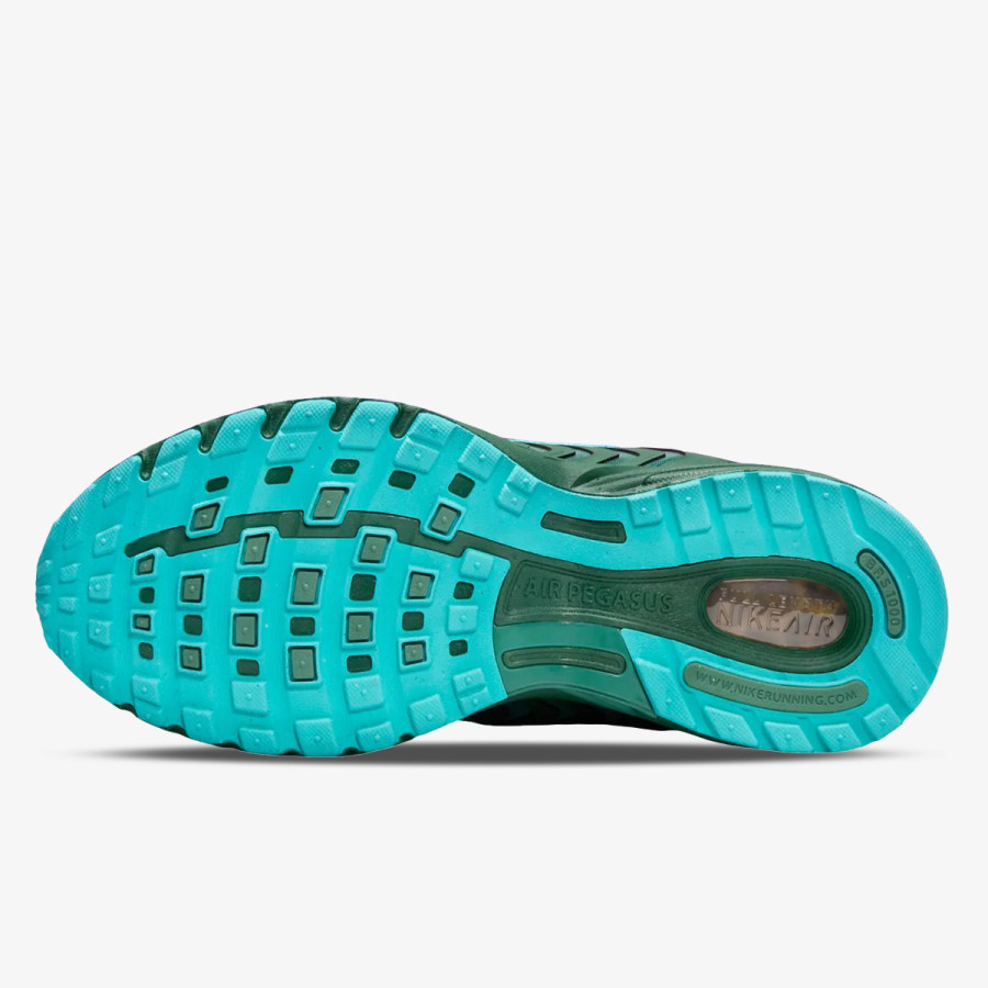 NIKE NIKE AIR PEGASUS 2005 WNTR 