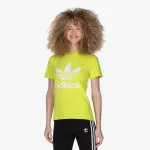 adidas TREFOIL 