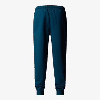 THE NORTH FACE M NSE PANT 