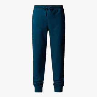 THE NORTH FACE M NSE PANT 
