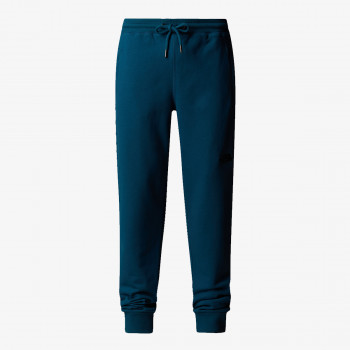 THE NORTH FACE M NSE PANT 