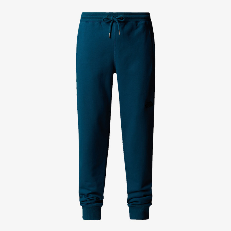 THE NORTH FACE M NSE PANT 