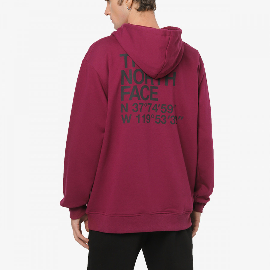 THE NORTH FACE M COORDINATES HOODIE 