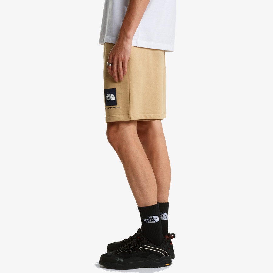THE NORTH FACE BOX NSE LIGHT REGULAR SHORTS 