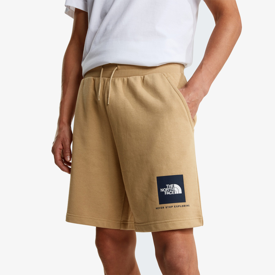 THE NORTH FACE BOX NSE LIGHT REGULAR SHORTS 