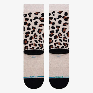STANCE CATTY 