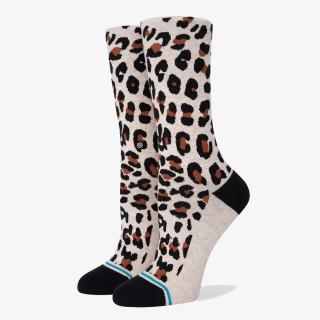 STANCE CATTY 