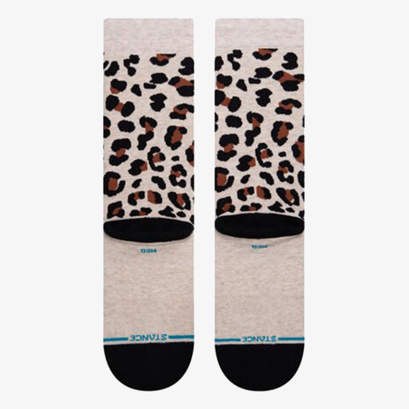 STANCE CATTY 
